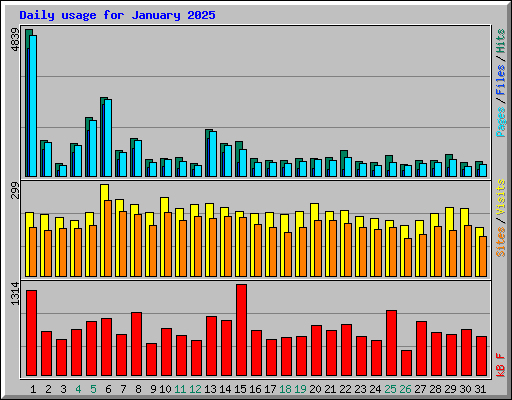Daily usage for January 2025