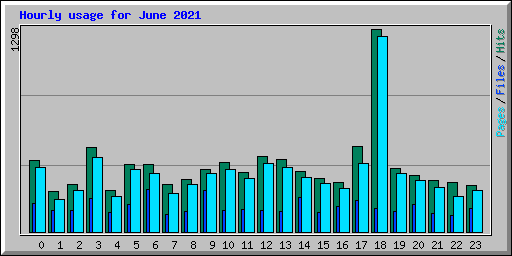 Hourly usage for June 2021