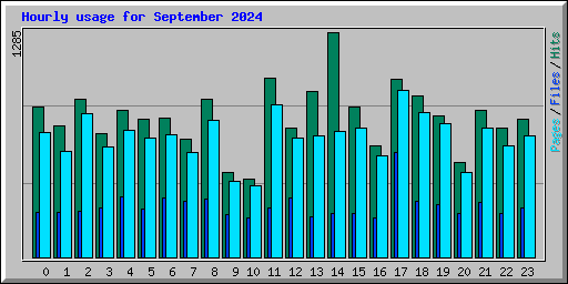 Hourly usage for September 2024