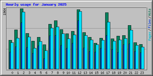 Hourly usage for January 2025