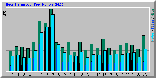 Hourly usage for March 2025