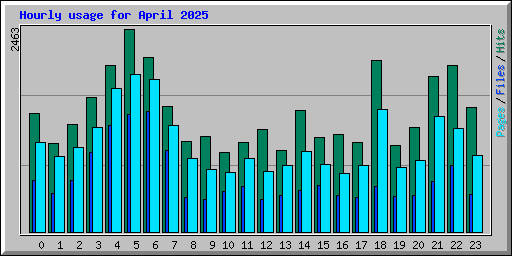 Hourly usage for April 2025