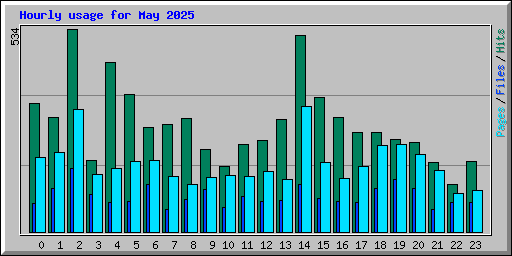 Hourly usage for May 2025