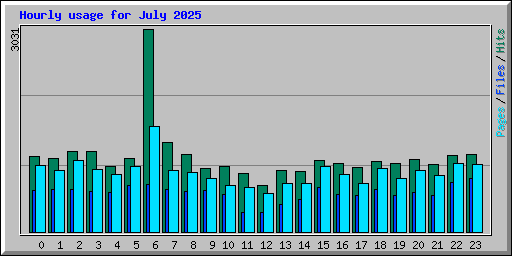 Hourly usage for July 2025