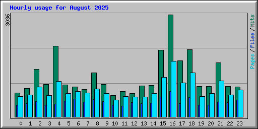 Hourly usage for August 2025