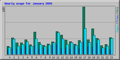 Hourly usage for January 2026