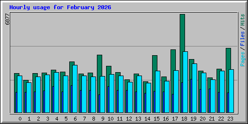Hourly usage for February 2026